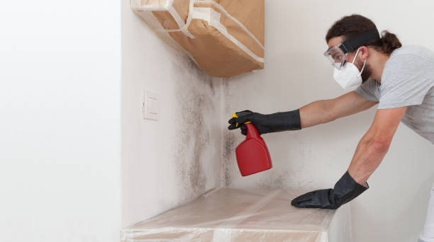Professional Basement Mold Remediation technician working in Caledonia, MI
