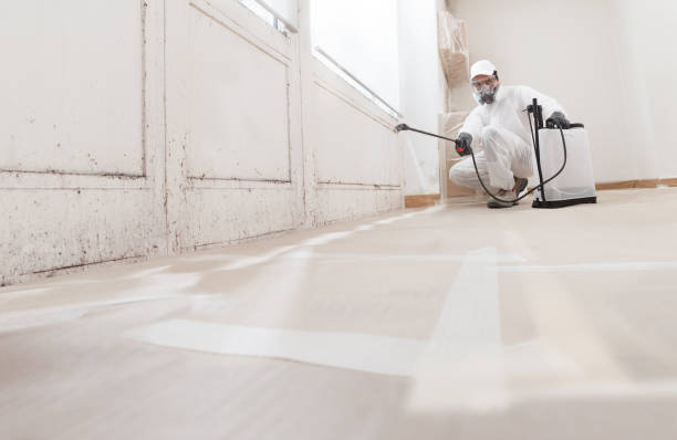 24/7 Emergency Basement Mold Remediation experts in Caledonia, MI
