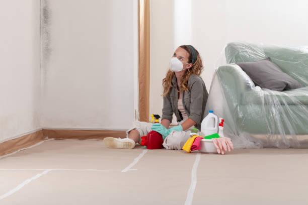 Reliable Basement Mold Remediation contractor in Caledonia, MI by WQB Mold Removal